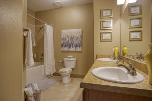 1 Bedroom Apartments For Rent in San Antonio, TX - Model Bathroom (2) 